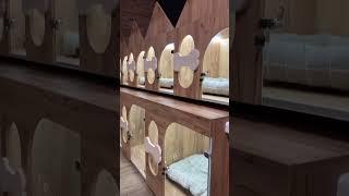 Зоомагазин під ключ. Торгові стелажі. Прилавки. Каси. Монтаж   #магазин  #зоомагазин #zoo   #retail