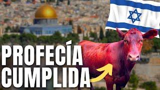  6 Señales en ISRAEL del FIN de los TIEMPOS sucediendo AHORA! (Profecías Bíblicas) Apocalipsis Dios