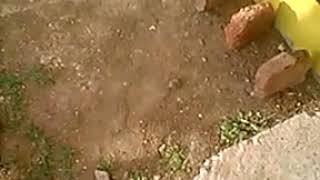 S shape brick magic||by yashraj mourya