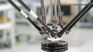 ABB delta robots - Epsilon Composite robotic arms qualification FlexPicker