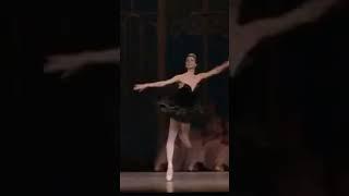 НИНА АНАНИАШВИЛИ