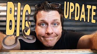 Reach Out Reptile Room Update!!!