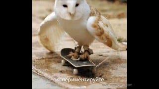 С днем рождения!