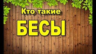 Кто такие БЕСЫ. Часть 1.