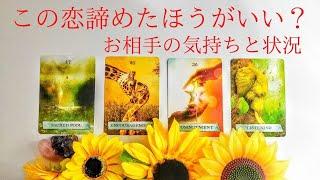 この恋諦めたほうがいいですかお相手の気持ちと状況タロットカードとオラクルカードに聞いてみました⭐