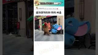 어디서 타는냄새 안나냐? 갤러리 레전드 2탄ㅣ커뮤니티 꿀잼 시간순삭