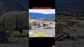 #animals #wildlife #wildanimals #lion #elephant #automobile #phonk #music #beats #drift