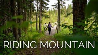 Exploring Manitoba's Most Popular National Park | Clear Lake, Wasagaming +  Wildlife