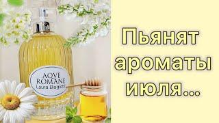 Из хмурого слякотного ноября - в солнечный июль!  Ambrosia Aurea Laura Biagiotti.