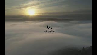 Uninventiva Showreel 2019