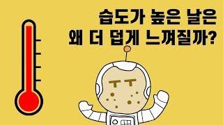 습도(Humidity)가 높은 날은 왜 더 덥게 느껴질까? 상대 습도(relative humidity) 낮추기 낮추는 조절 방법ㅣ실내적정습도(Indoor Humidity)