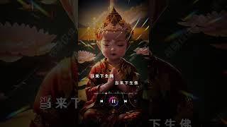 《清净法身佛》
