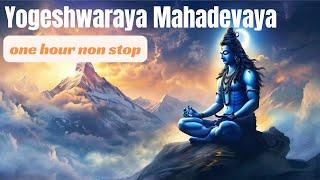 Yogeshwaraya Mahadevaya | Shiva Stotram - One Hour Non Stop