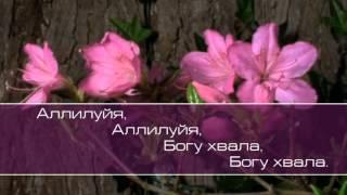 Христианское поклонение. Сборник №55