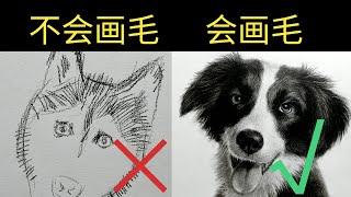 怎么画出毛发质感的素描画？原来只要3步就可以！