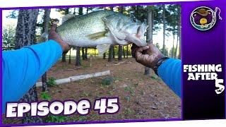 Hays Nature Preserve holds HUGE Bass! New PB! (Huntsville, AL) - Fishing After 5