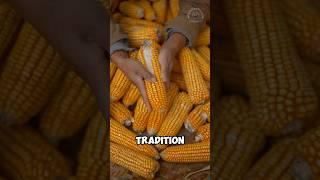 Corn processed in strange way