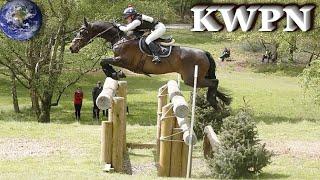 TOP Beautiful KWPN Horse in the World!