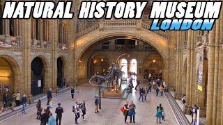 NATURAL HISTORY MUSEUM LONDON (4k)