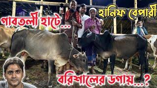 গাবতলী হাটে বরিশালের ডগায় গরুর দাম কেমন|ছোট গরুর দাম কেমন বর্তমান গাবতলী হাটে|৩৫ হতে ৭৫ হাজারের গরু