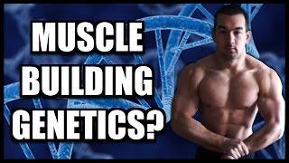 Muscle Building Genetics: Do Genes Matter In Bodybuilding?