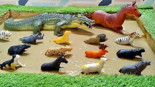 Unboxing the Fascinating Forest Animals and Wild Animals in Sandbox for Kids