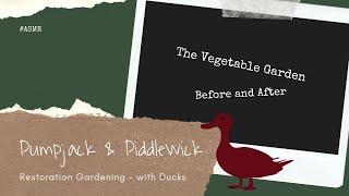 Veg Garden walk through at PumpjackPiddlewick  / French Restoration Garden / Gardening with ducks