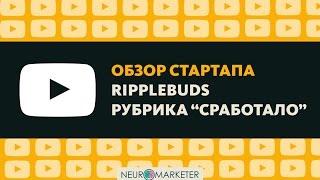 Обзор стартапа RippleBuds, почему сработало? Успешные стартапы