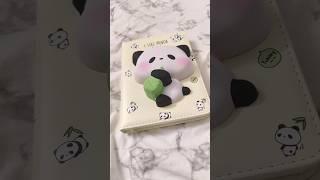 Unboxing My cute panda squishy diary #unboxing #pandadiary #SHINNYSTAR 