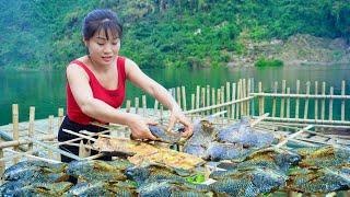 Net Fishing and Charcoal-Drying Fish: A Girl's Life on a Floating House