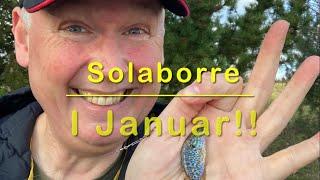 Solaborre!