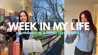 YEAR 13 DIARIES | Week In My Life Prepping For A Levels
