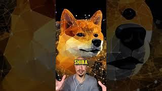 MAJOR SHIBA INU COIN NEWS! SHIBARIUM + SHIBASWAP!