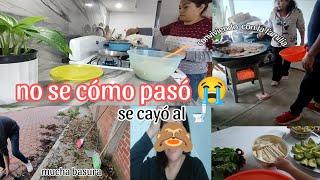 se me cayó y no se cómo pasó / carne asada con la familia / muchas basura