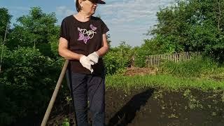 Нынче буду отдыхать,в огороде делать нечего/ Жизнь на пенсии 