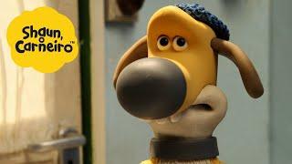 Shaun, o Carneiro [Shaun the Sheep] Cachorro suspeito  Hora Especial| Cartoons Para Crianças