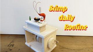 Shrimp daily routine