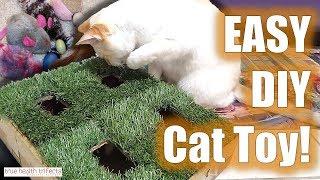 DIY CAT TOY - Homemade Hunting & Exploration Grass Box! Is it Puppy Approved? - Cat Lady Fitness