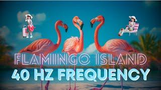 Flamingo Island️| Healing Relaxation Music & Captivating Exotic Visuals 40hz #Flamingo #Paradise