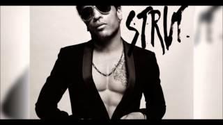 Lenny Kravitz     The Chamber