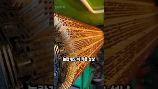성냥 하나가 만들어지기까지… 상상 초월의 공정 #성냥제조과정, #인도공장, #수작업공정