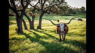 Dripping Springs Community Overview