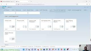 overview of AMIS SAP Audit Management