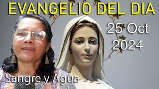 Evangelio Del Dia Hoy - Viernes 25 Octubre 2024- Sangre y Agua