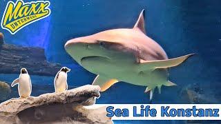 Sea Life Konstanz | Alle Infos | 2025