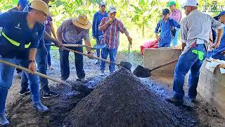 FHIA un referente en capacitación agrícola para Honduras y otros países.