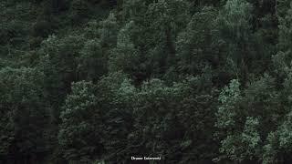[𝙋𝙡𝙖𝙮𝙡𝙞𝙨𝙩] 숲, 비 그리고 클래식️ | Healing Classic