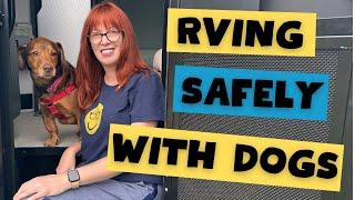 Must Know Tips For Traveling With Dogs In An RV