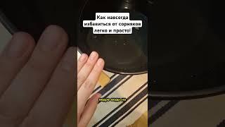 Как навсегда избавиться от сорняков легко и просто! #сорняки #огород #сад