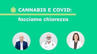 Cannabis e Covid: facciamo chiarezza | Clinn Live